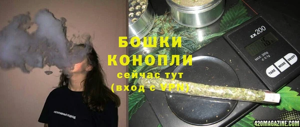 прущие грибы Абинск