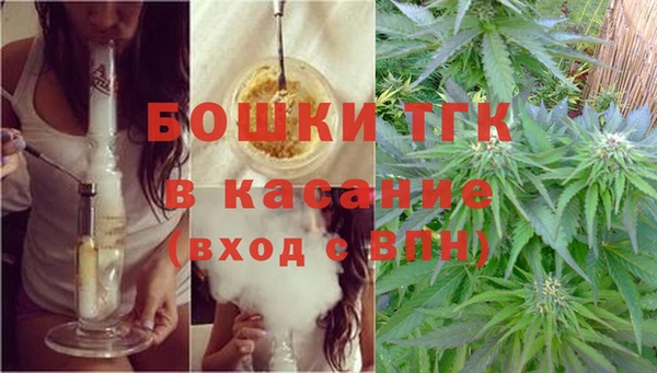 дмт Абаза
