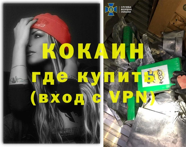 прущие грибы Абинск