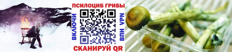 Псилоцибиновые грибы MAGIC MUSHROOMS  это телеграм  Хадыженск 
