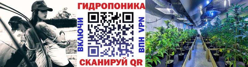 Канабис OG Kush  hydra   Хадыженск  как найти наркотики 